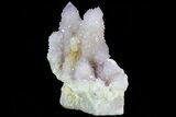 Cactus Quartz (Amethyst) Cluster - South Africa #80004-4